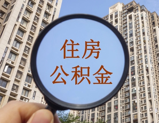 莘县公积金提取找黄牛（莘县公积金提取黄牛去哪找）